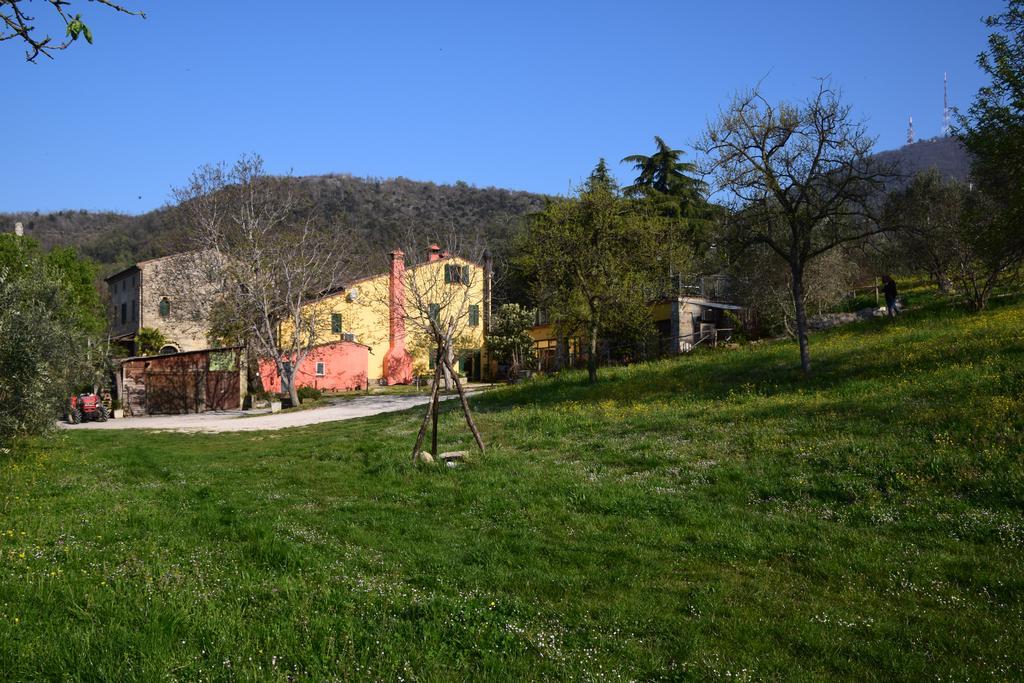Agriturismo Podere Villa Alessi Cinto Euganeo Exterior photo